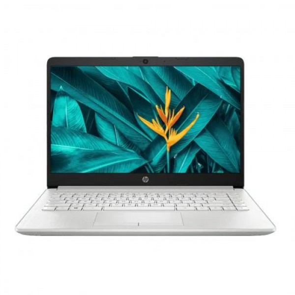 HP Laptop 14s-cf3076TU